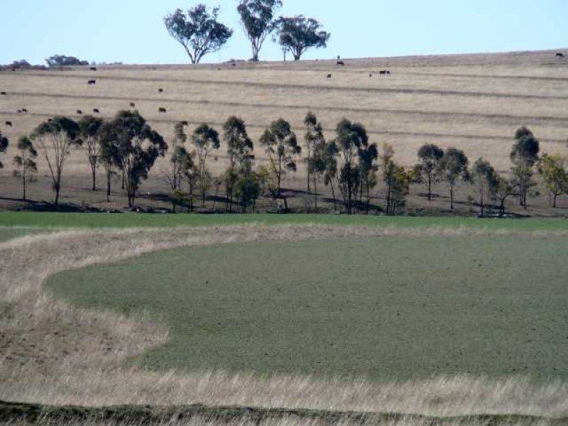 ** Kempton Park, Inverell NSW 2360