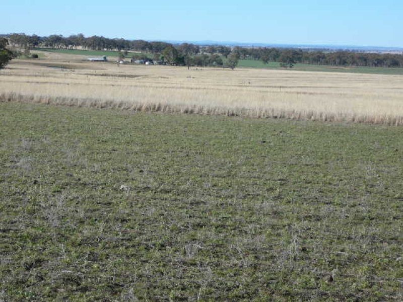 ** Kempton Park, Inverell NSW 2360