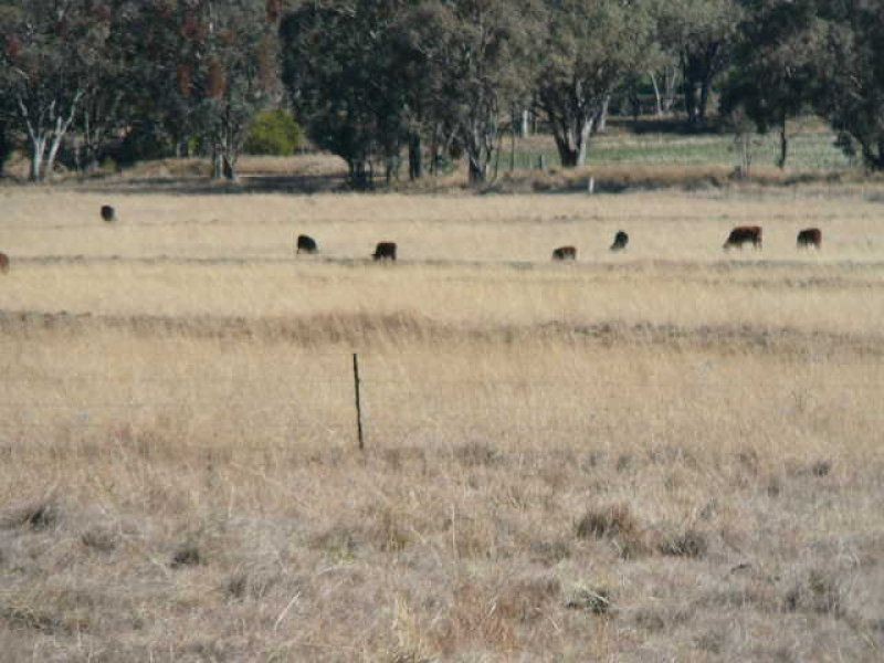 ** Kempton Park, Inverell NSW 2360