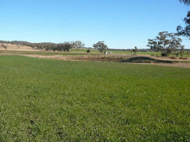 ** Kempton Park, Inverell NSW 2360