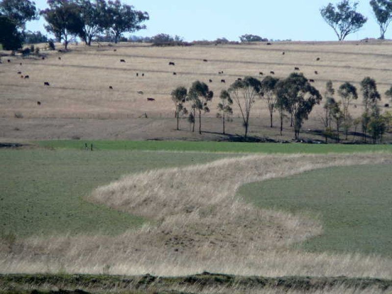 ** Kempton Park, Inverell NSW 2360