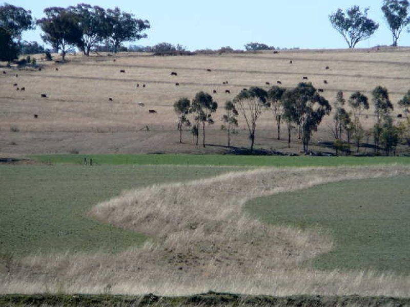 ** Kempton Park, Inverell NSW 2360