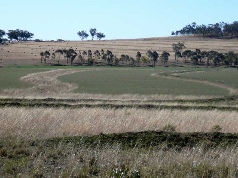 ** Kempton Park, Inverell NSW 2360