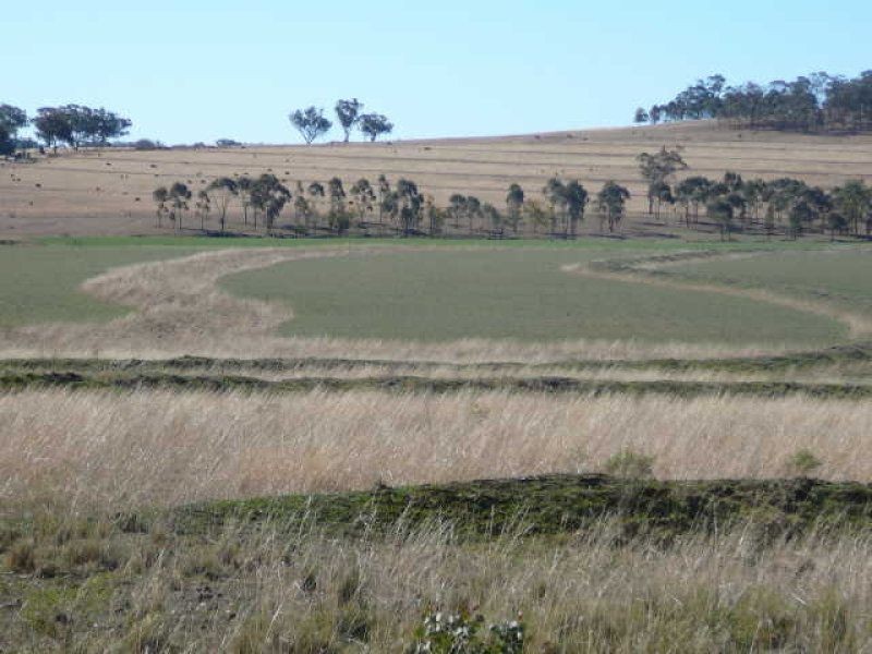 ** Kempton Park, Inverell NSW 2360