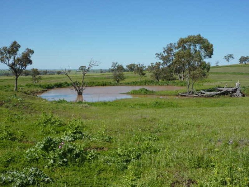 ” ARDNAREE”, Inverell NSW 2360