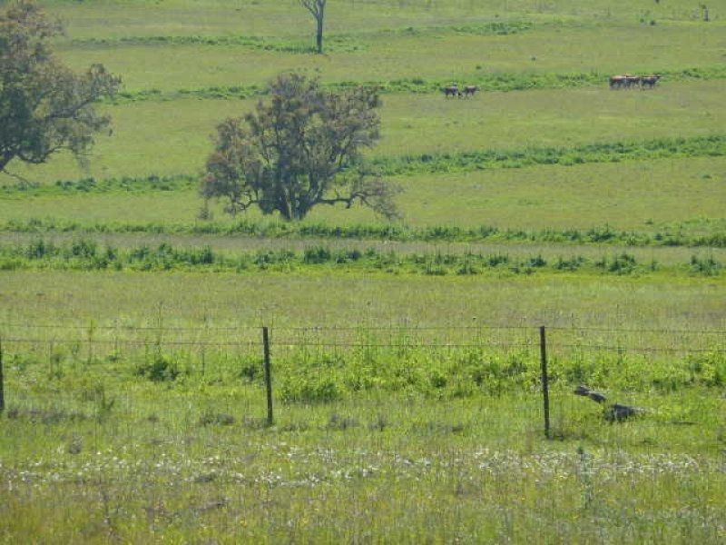 ” ARDNAREE”, Inverell NSW 2360
