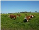 ” ARDNAREE”, Inverell NSW 2360