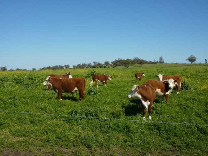 ” ARDNAREE”, Inverell NSW 2360