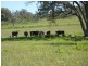 ” ARDNAREE”, Inverell NSW 2360