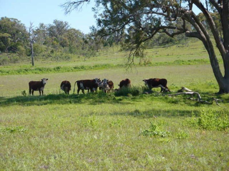 ” ARDNAREE”, Inverell NSW 2360