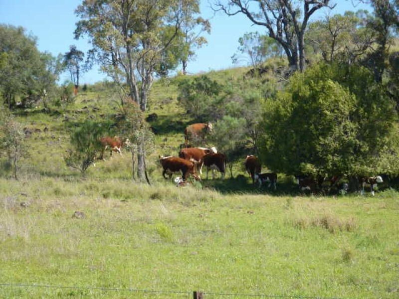 ” ARDNAREE”, Inverell NSW 2360