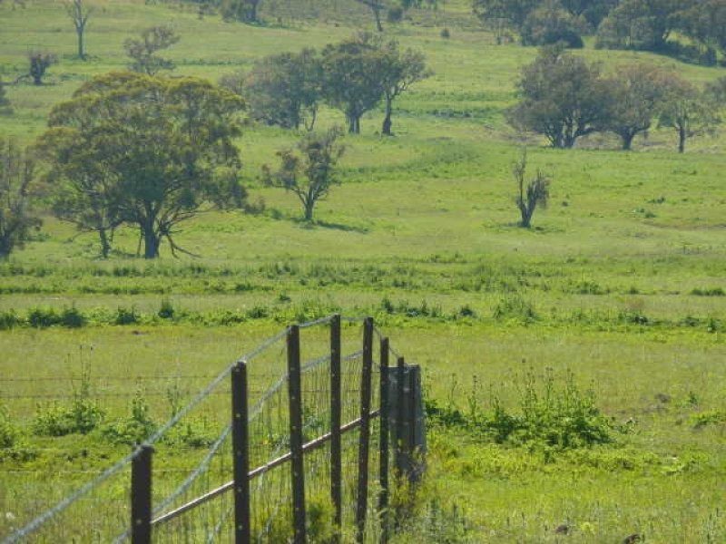 ” ARDNAREE”, Inverell NSW 2360