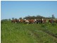 ” ARDNAREE”, Inverell NSW 2360