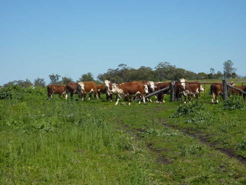 ” ARDNAREE”, Inverell NSW 2360