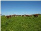 ” ARDNAREE”, Inverell NSW 2360