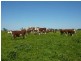 ” ARDNAREE”, Inverell NSW 2360