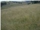 . Lone Pine, Inverell NSW 2360
