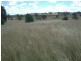 . Lone Pine, Inverell NSW 2360