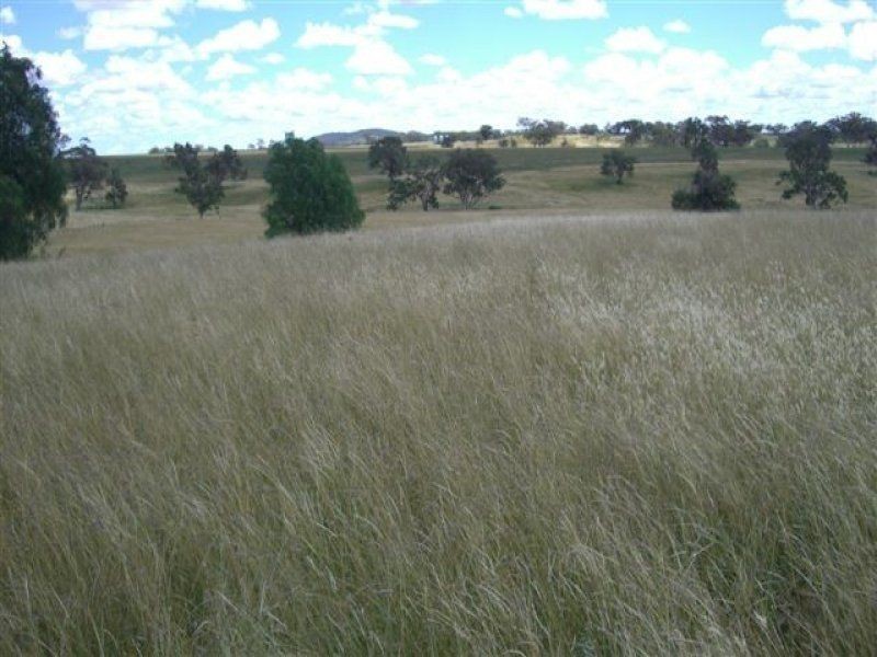 . Lone Pine, Inverell NSW 2360