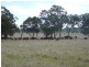 ” YARRANDOO”, Inverell NSW 2360