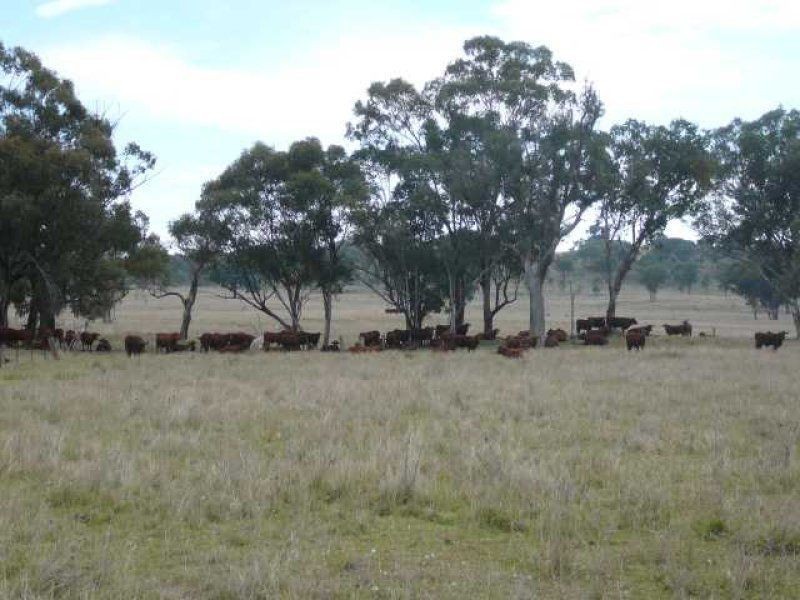 ” YARRANDOO”, Inverell NSW 2360