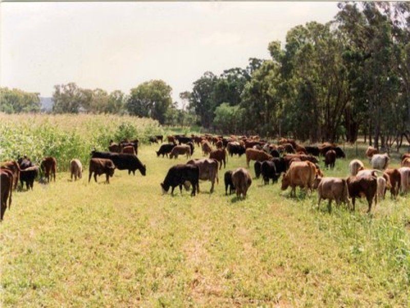” YARRABEE”, Inverell NSW 2360