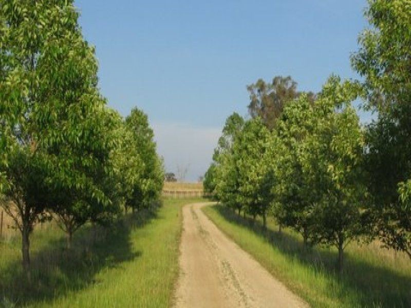 ” YARRABEE”, Inverell NSW 2360