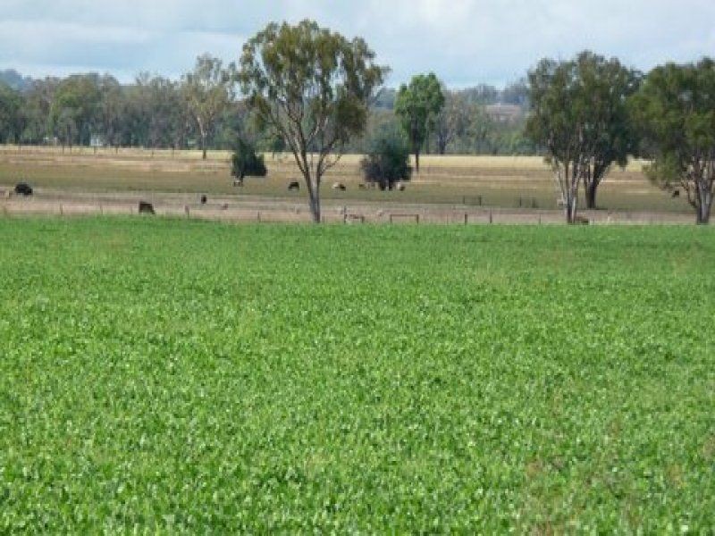 ” YARRABEE”, Inverell NSW 2360