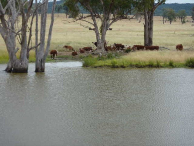 ** Llanarth, Inverell NSW 2360