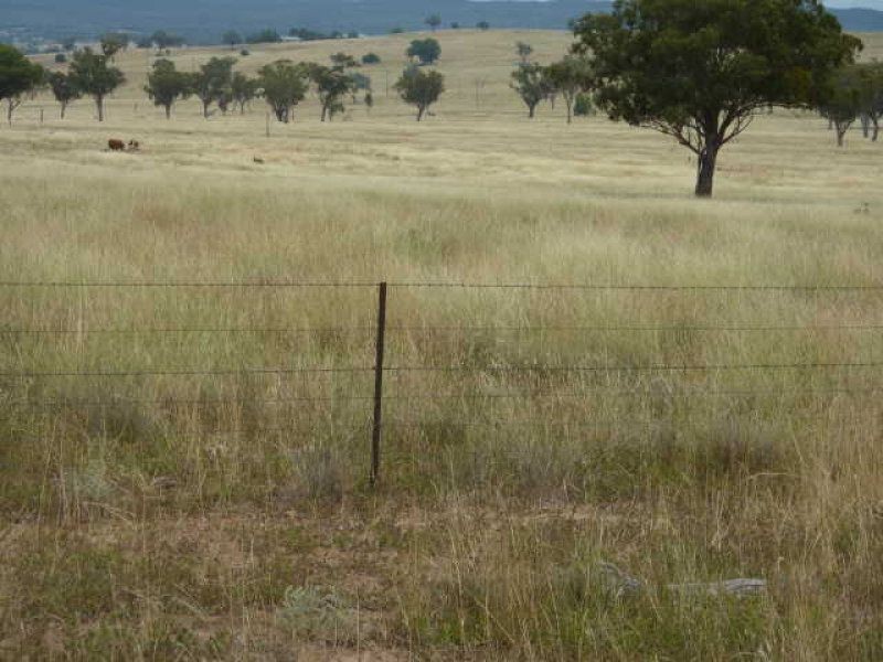 ** Llanarth, Inverell NSW 2360