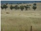 ** Llanarth, Inverell NSW 2360