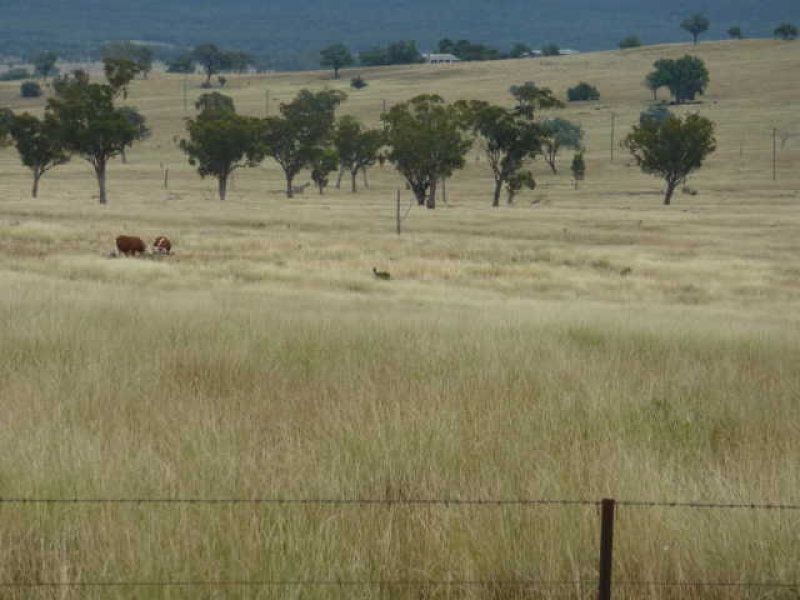 ** Llanarth, Inverell NSW 2360