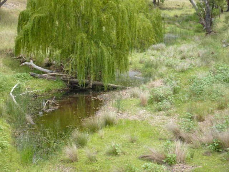 ** Llanarth, Inverell NSW 2360