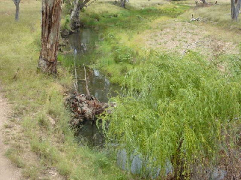 ** Llanarth, Inverell NSW 2360