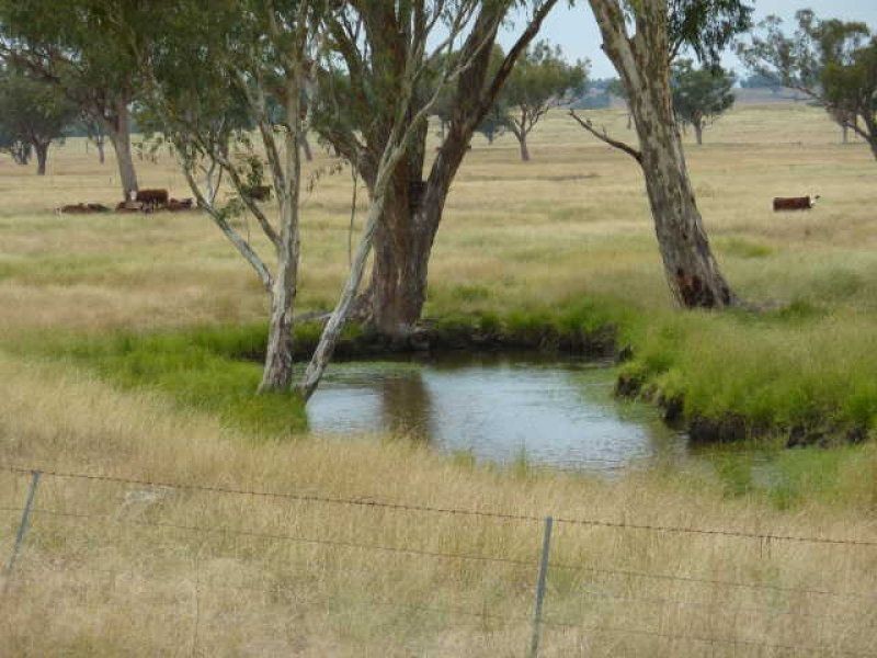 ** Llanarth, Inverell NSW 2360