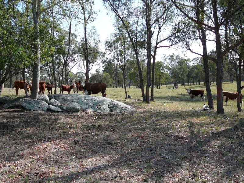 ” REMARDA”, Inverell NSW 2360