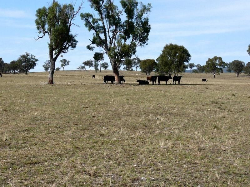 ” REMARDA”, Inverell NSW 2360