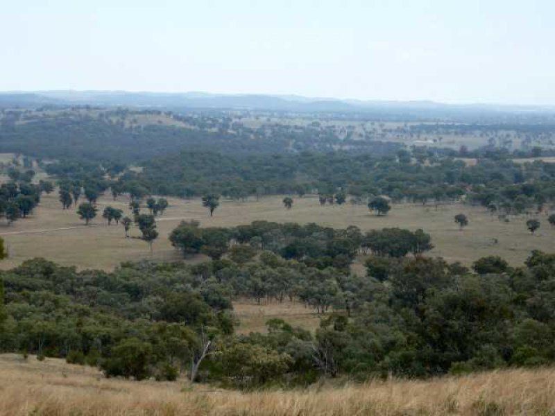 ” WAVERLEY STATION”, Inverell NSW 2360