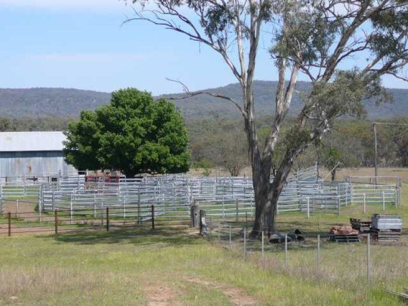 ” WAVERLEY STATION”, Inverell NSW 2360