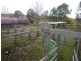 ** Ben Lomond, Guyra NSW 2365