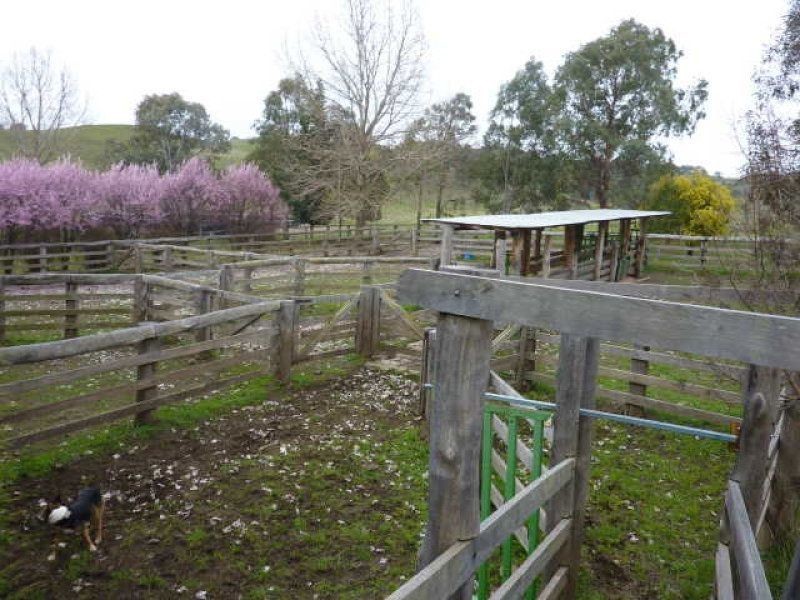 ** Ben Lomond, Guyra NSW 2365