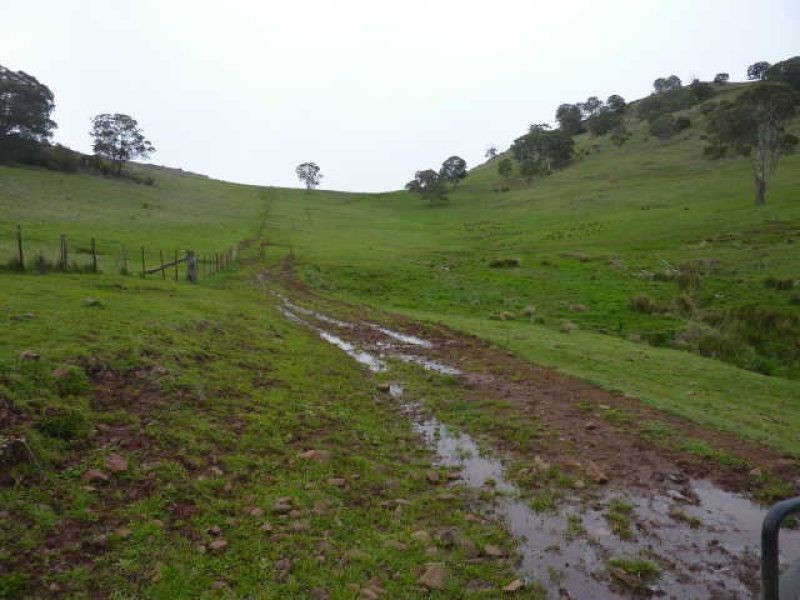 ** Ben Lomond, Guyra NSW 2365