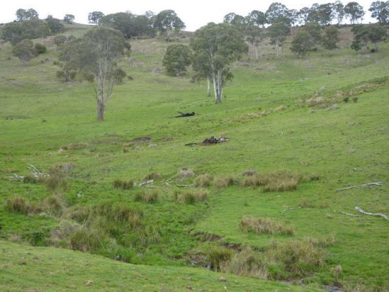 ** Ben Lomond, Guyra NSW 2365