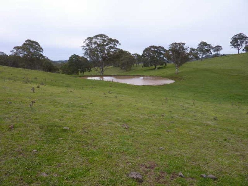 ** Ben Lomond, Guyra NSW 2365