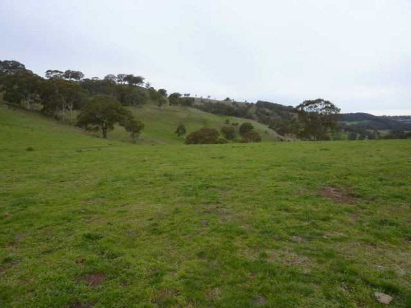 ** Ben Lomond, Guyra NSW 2365