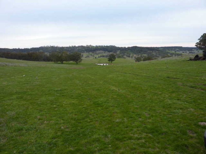 ** Ben Lomond, Guyra NSW 2365
