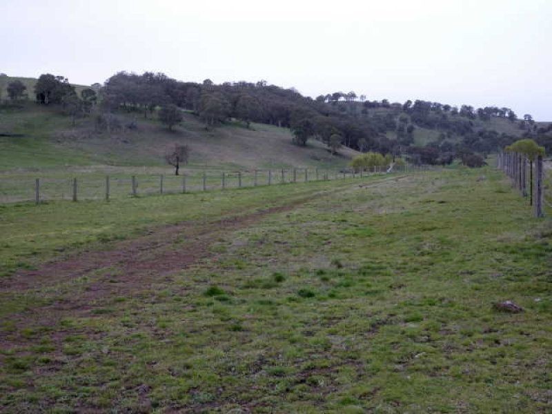 ** Ben Lomond, Guyra NSW 2365