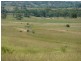 723 Silvermines Road “GLENCOE”, Inverell NSW 2360
