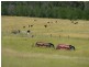 723 Silvermines Road “GLENCOE”, Inverell NSW 2360