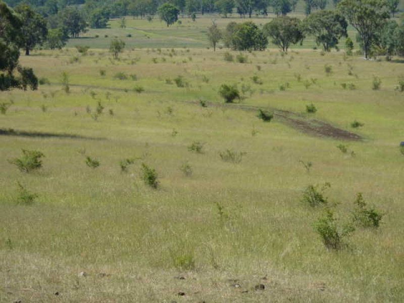 723 Silvermines Road “GLENCOE”, Inverell NSW 2360